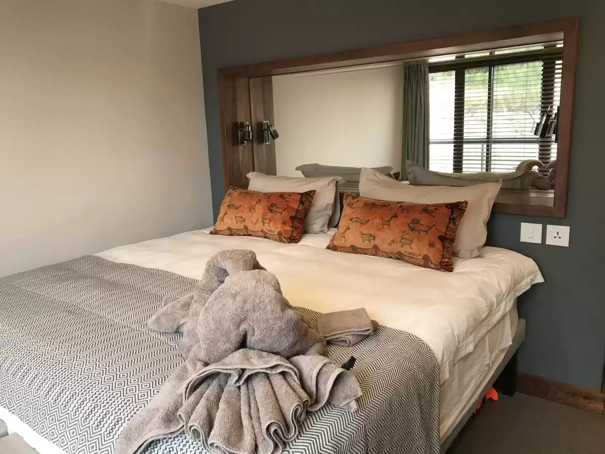 el African Dream :   5