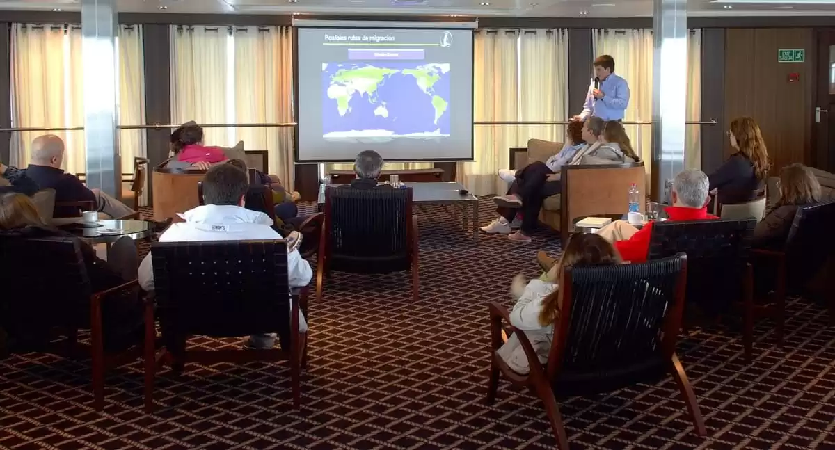 el M/N Stella Australis :  cabine 20