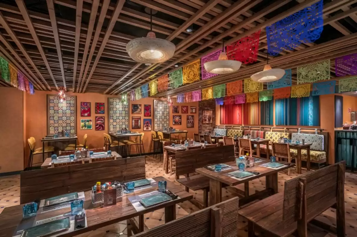 el MSC World Europa :  cabine 47