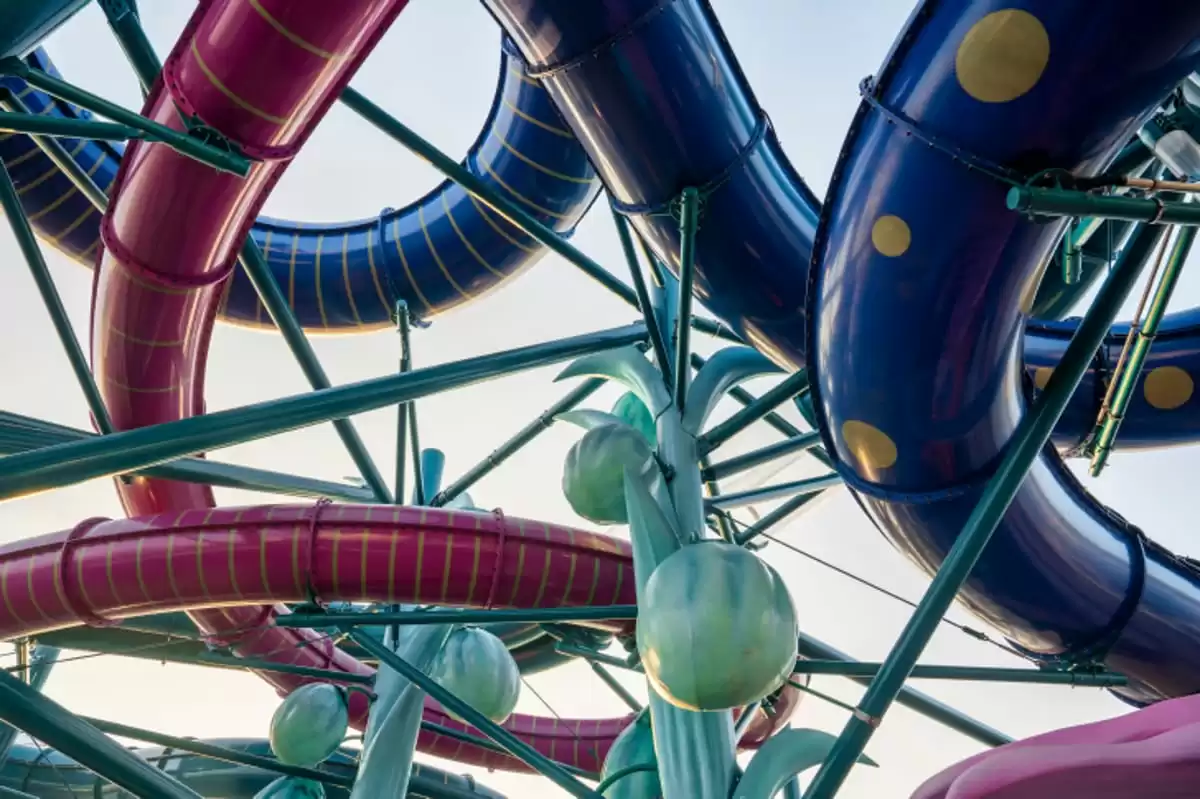 el MSC World Europa :  cabine 81