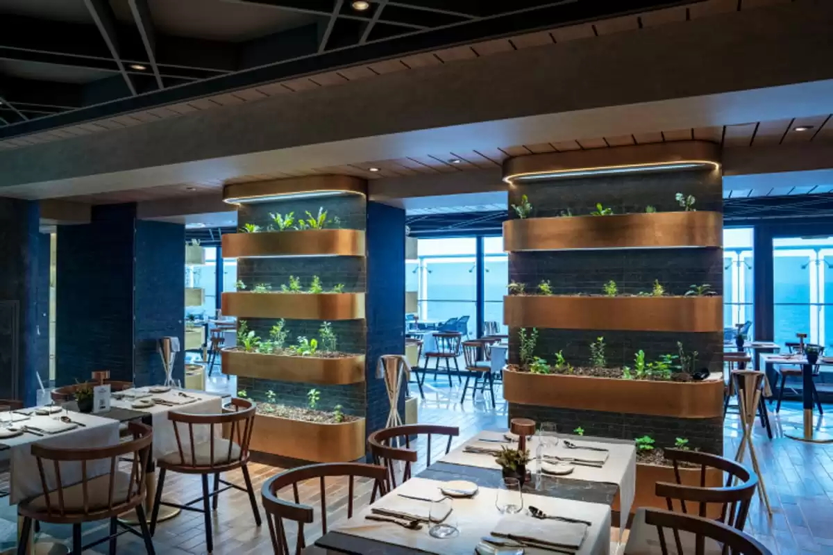 el MSC World Europa :  cabine 87