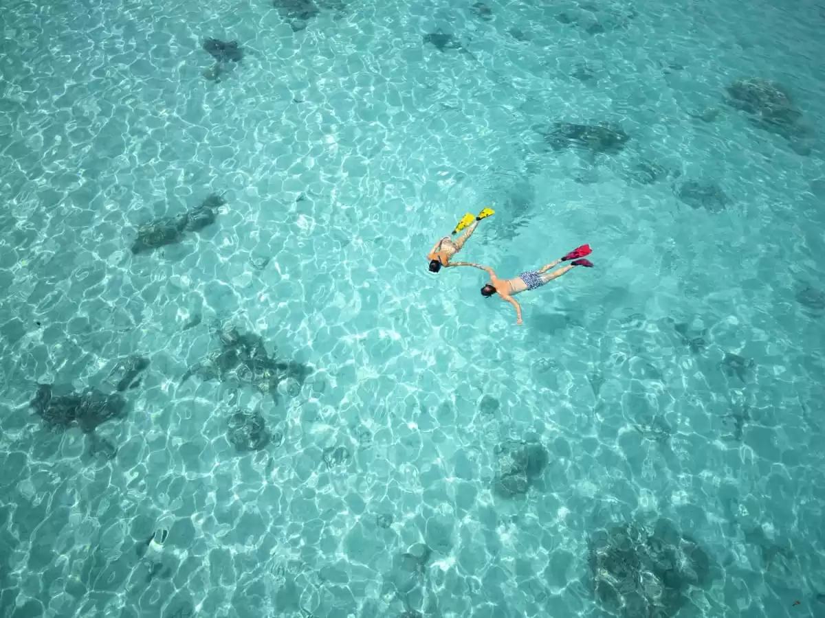 el Paul Gauguin :  cabine 3