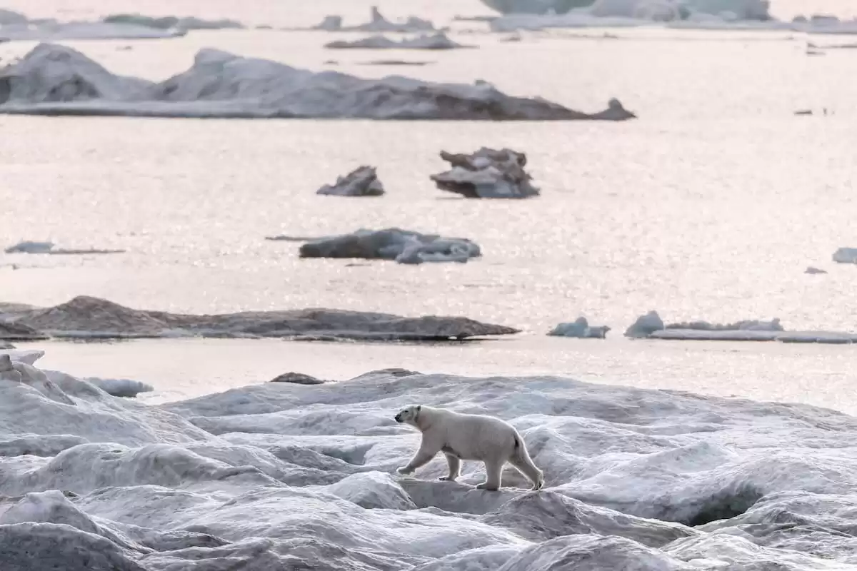 el Silver Wind :  cabine 9