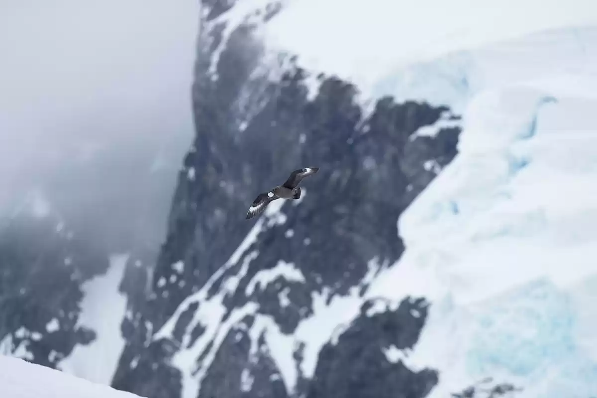 el Silver Wind :  cabine 10