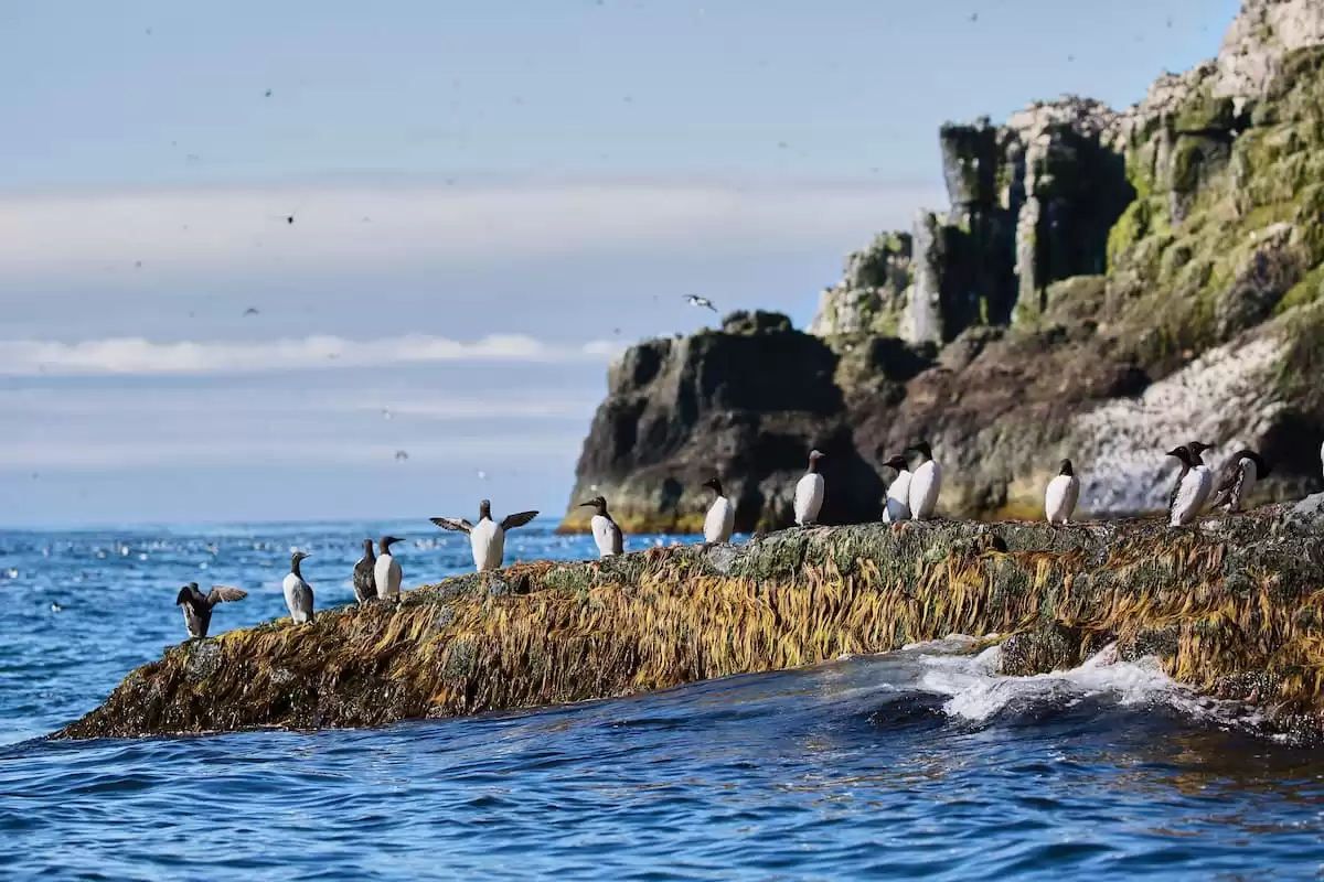 el Silver Wind :  cabine 17