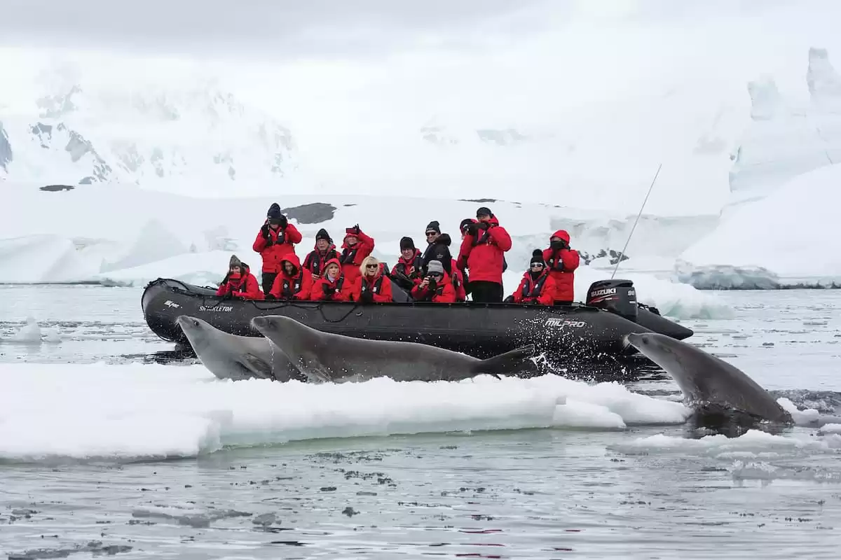 el Silver Wind :  cabine 50