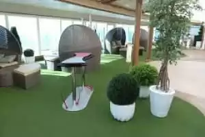 Hollywood Conervatory