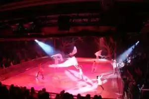 Espectáculos en el Studio B