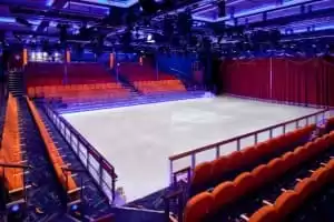 Espectáculos y animaciones en el Studio B