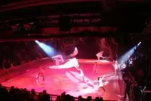 Espectáculos en el Studio B