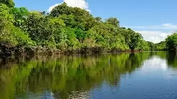 Amazonia