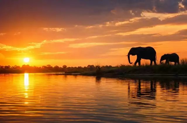 Puesta de sol sobre el Chobe