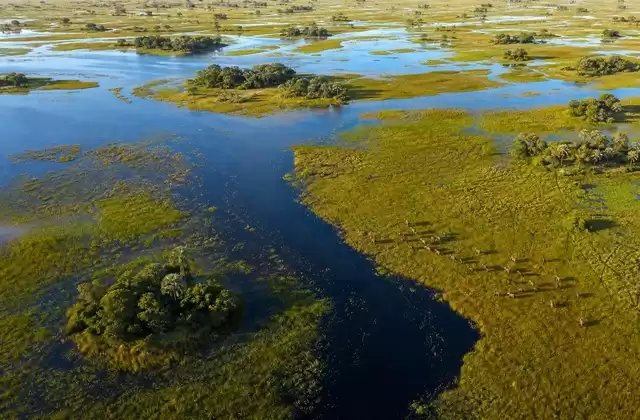 Vuelo sobre el Okavango