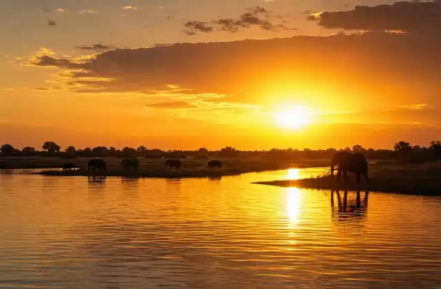 Puesta de sol en el Chobé