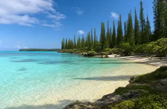Isla de los Pinos