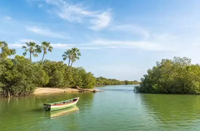 En el Sine-Saloum