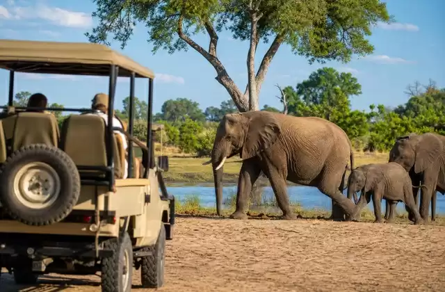Parque Nacional de Chobe