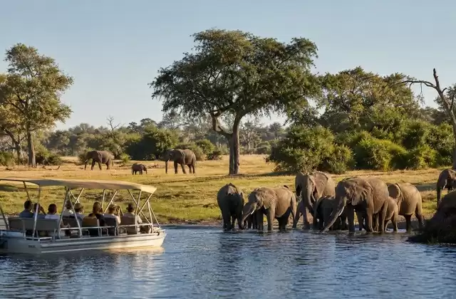 Parque Nacional de Chobe