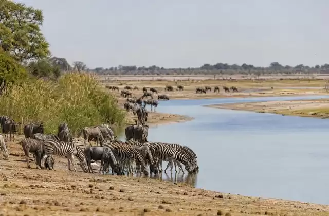 Río Boteti