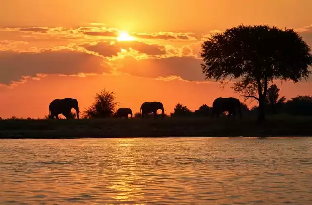 Puesta de sol en el río