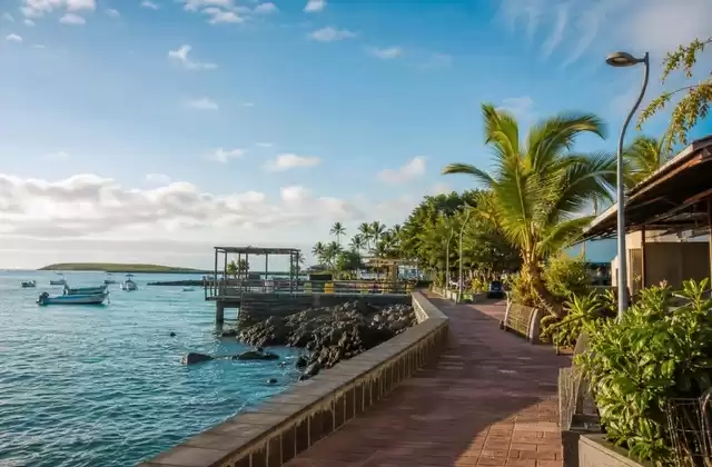 Puerto Ayora