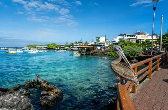 Puerto Ayora