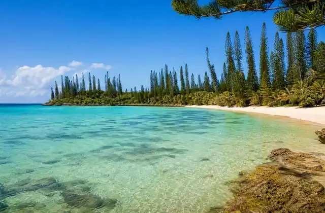 Isla de los Pinos