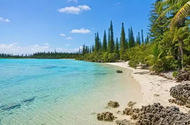 Isla de los Pinos