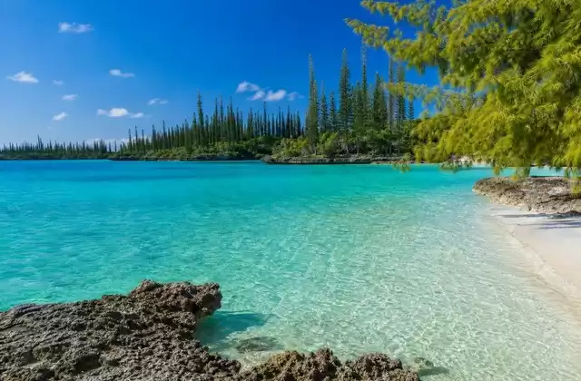 Isla de los Pinos